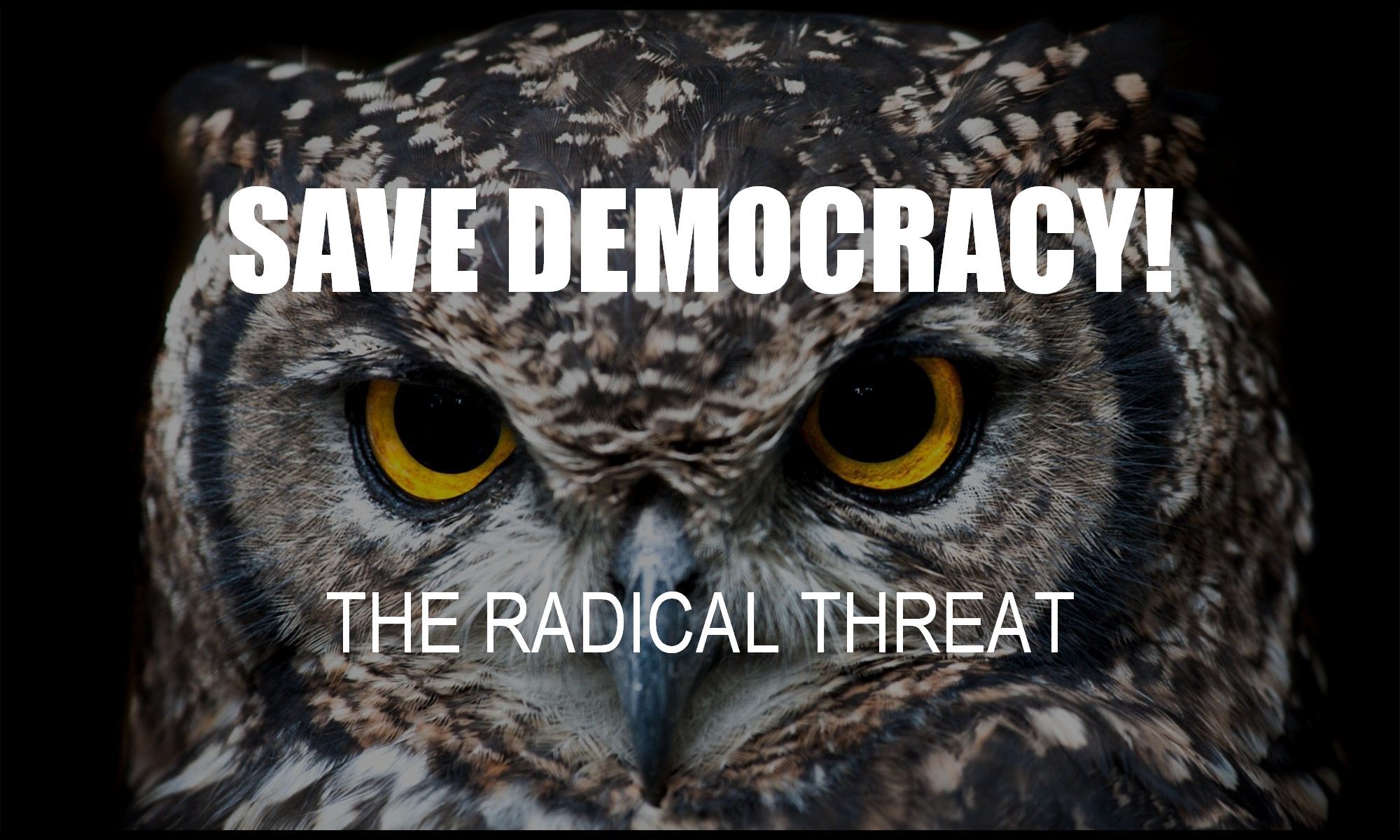 how-do-we-save-american-democracy-our-country-world-from-radicals-trump-threat-violence