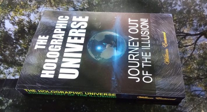 Holographic Universe Journey Out of the Illusion book ebook by William Eastwood