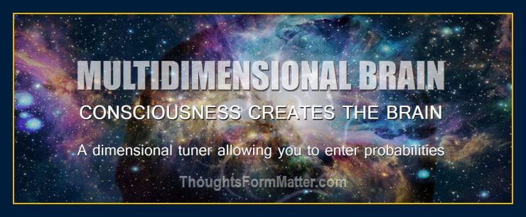 Brain. What Is Zero Point Field (ZPF) Energy? How Do Thoughts Form Matter? Are Quantum Virtual Particles Waves or Physical Things?