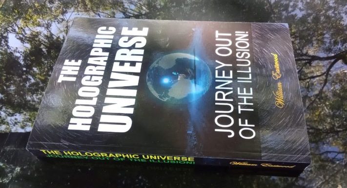 What is the Holographic Theory of Consciousness book