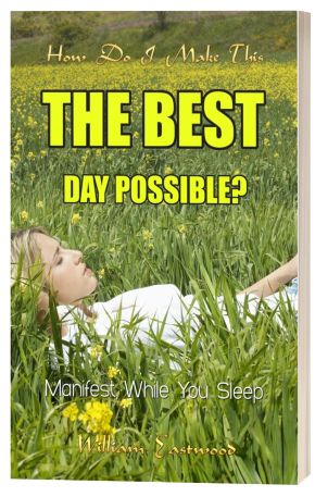 How Do I Make This the Best Day Possible book cover
