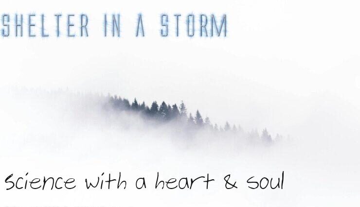 Ridgeline of trees in a blizzard depicts shelter in the storm of physicalism. Over the image is written, "SHELTER IN A STORM: Science with a heart & soul"